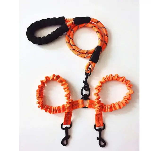 Double Lead Dog Leash